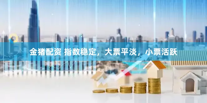 金猪配资 指数稳定，大票平淡，小票活跃