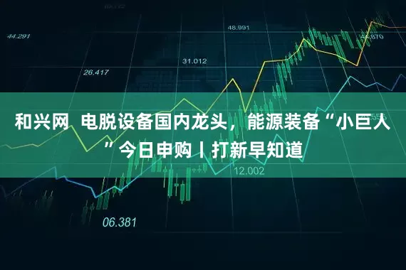 和兴网  电脱设备国内龙头，能源装备“小巨人”今日申购丨打新早知道
